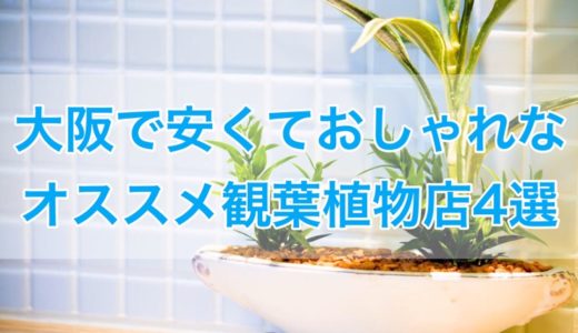 大阪で安くておしゃれな観葉植物を売っているおすすめショップ4選